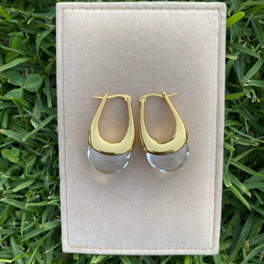 Stainless steel clear earrings