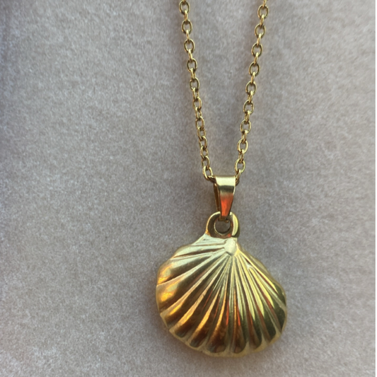 Stainless steel Shell necklace