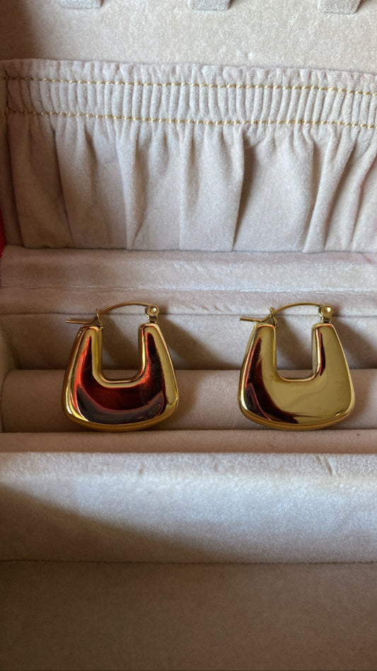 Stainless steel gold plated classy earrings